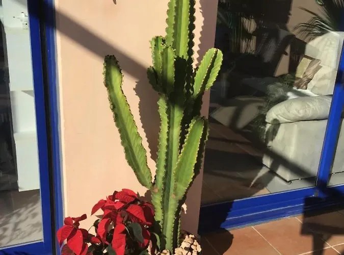 Atalaya Dreams Apartment